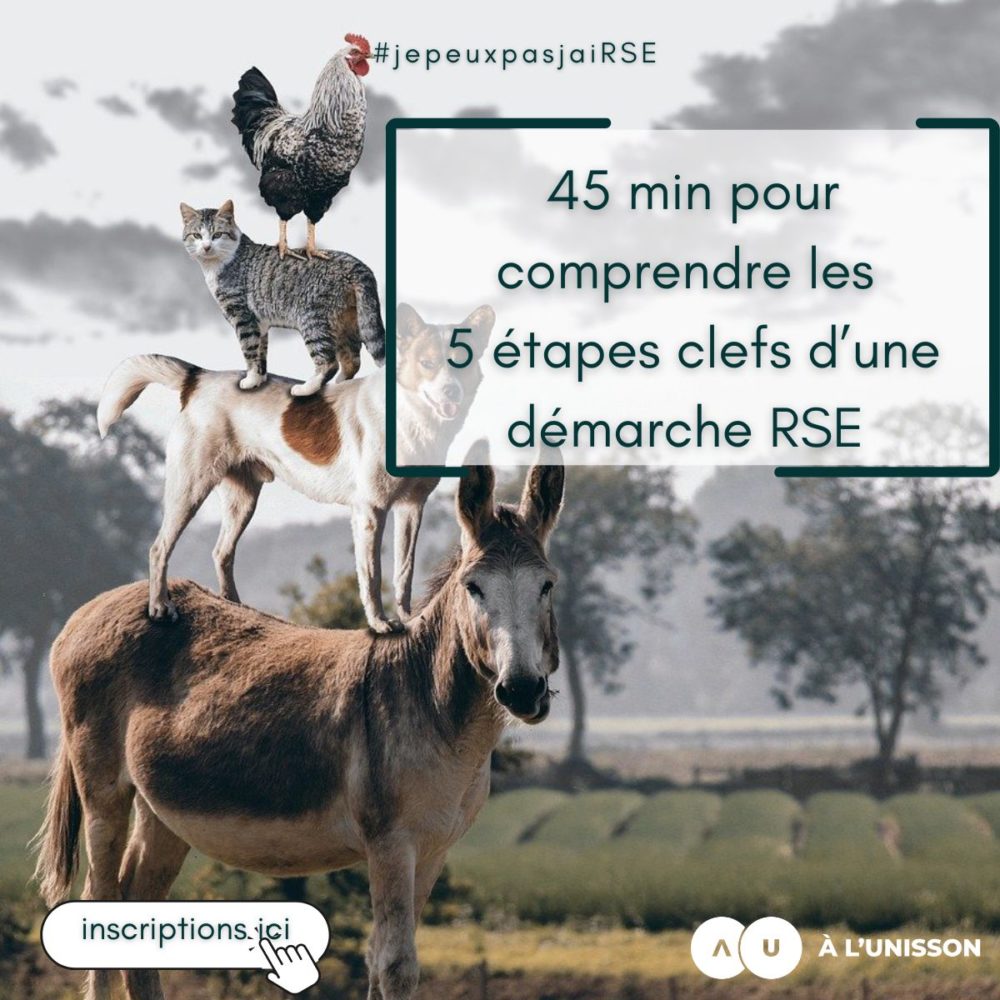 webinaire A l'unisson, 5 étapes clés d'une démache RSE 